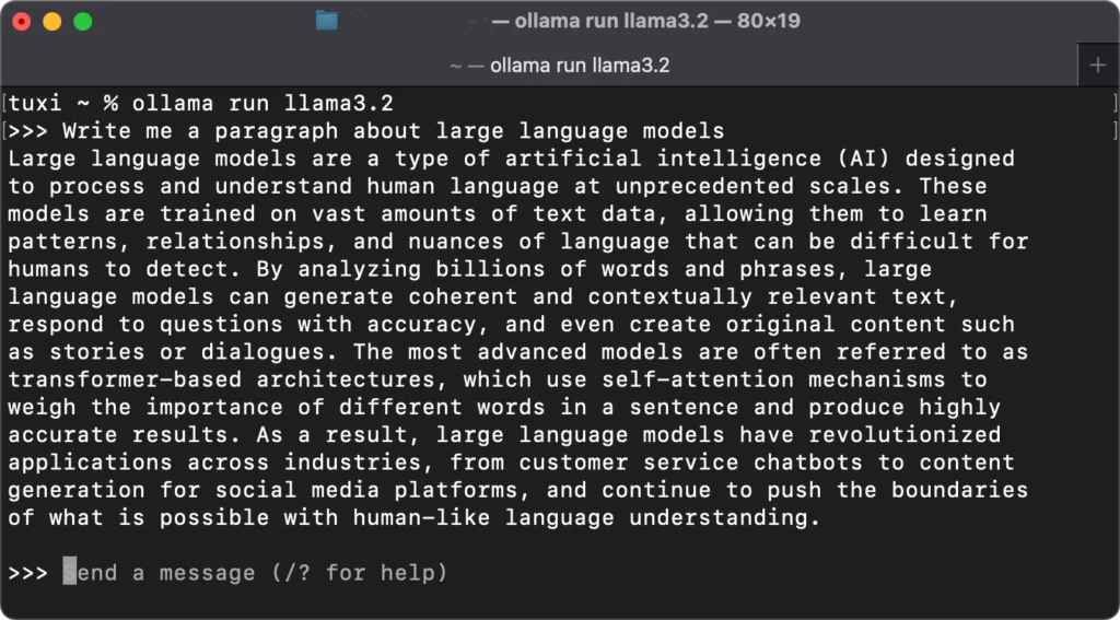 Ollama running the llama3.2 model